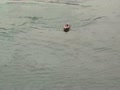 RC boat HACKER Trinity - betta test